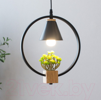 Потолочный светильник Home Light Астерия A042-2-В (черный) - фото