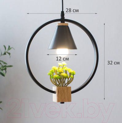 Потолочный светильник Home Light Астерия A042-2-В (черный)