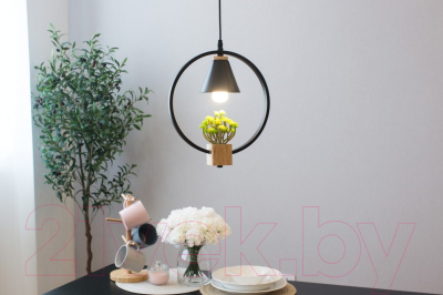 Потолочный светильник Home Light Астерия A042-2-В (черный)