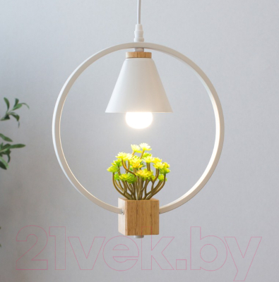 Потолочный светильник Home Light Астерия A042-2-W (белый) - фото