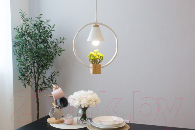 Потолочный светильник Home Light Астерия A042-2-W (белый)