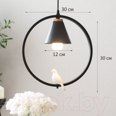 Потолочный светильник Home Light Астерия A043-5-B (черный)