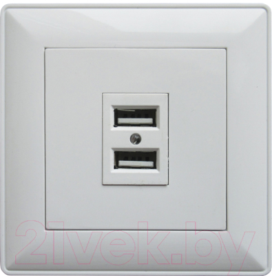 Розетка КС Дабрабыт СП 2.1А / 74884 - фото
