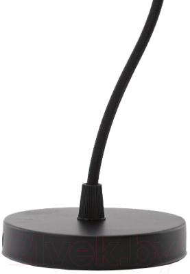 Потолочный светильник Glanzen RPD-0001-Black