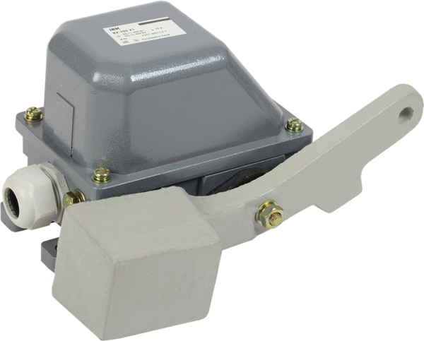 Выключатель концевой IEK KV-1-703-1 - фото