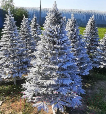 Ель искусственная Maxy Poland Наоми с литыми ветками заснеженная