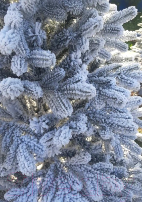 Ель искусственная Maxy Poland Наоми с литыми ветками заснеженная