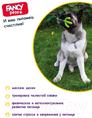 Игрушка для собак Fancy Pets Кактус / FPP13