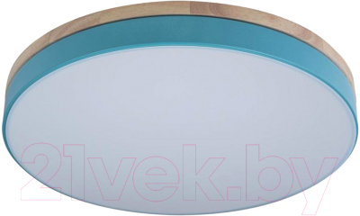 Потолочный светильник Loftit Axel 10001/36 Blue - фото