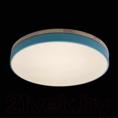 Потолочный светильник Loftit Axel 10001/36 Blue