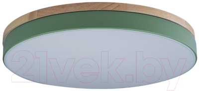 Потолочный светильник Loftit Axel 10001/36 Green - фото