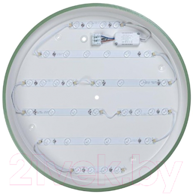 Потолочный светильник Loftit Axel 10001/36 Green