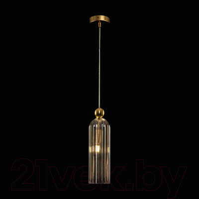 Потолочный светильник Maytoni Antic MOD302PL-01CG