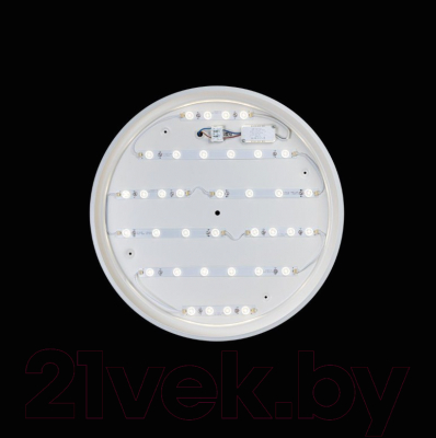 Потолочный светильник Loftit Axel 10001/36 White