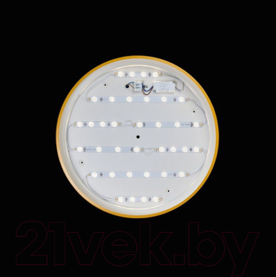 Потолочный светильник Loftit Axel 10001/36 Yellow