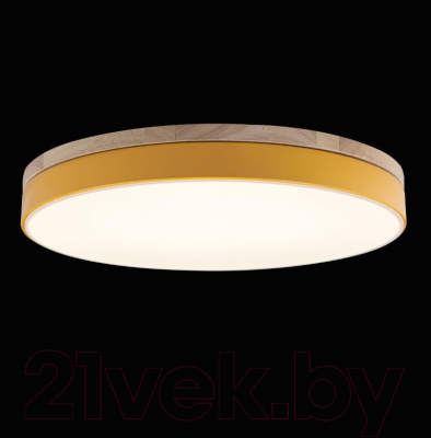 Потолочный светильник Loftit Axel 10001/36 Yellow