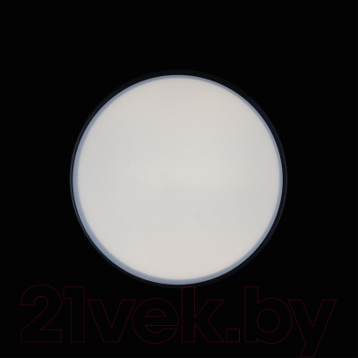 Потолочный светильник Loftit Axel 10002/12 Black