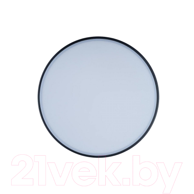 Потолочный светильник Loftit Axel 10002/12 Black