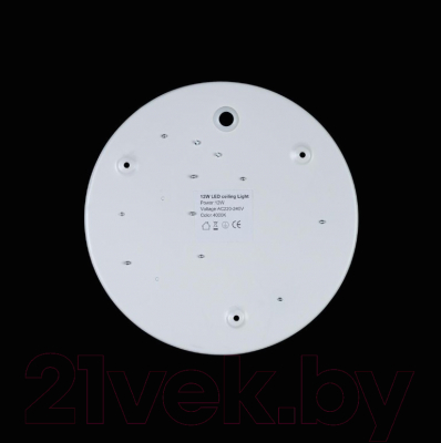 Потолочный светильник Loftit Axel 10002/12