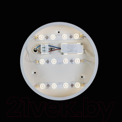 Потолочный светильник Loftit Axel 10002/12