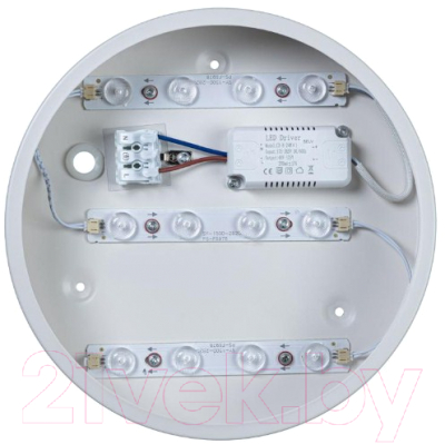 Потолочный светильник Loftit Axel 10002/12