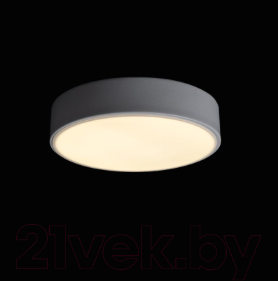 Потолочный светильник Loftit Axel 10002/12