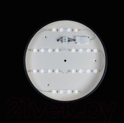 Потолочный светильник Loftit Axel 10002/24 (черный)