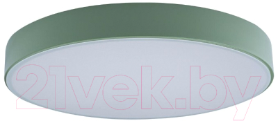 Потолочный светильник Loftit Axel 10002/24 (зеленый) - фото