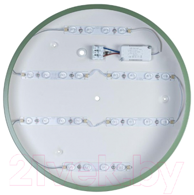 Потолочный светильник Loftit Axel 10002/24 (зеленый)