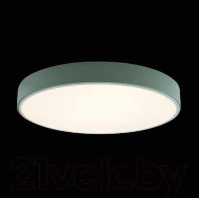 Потолочный светильник Loftit Axel 10002/24 (зеленый)