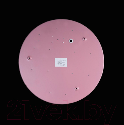 Потолочный светильник Loftit Axel 10002/24 Pink