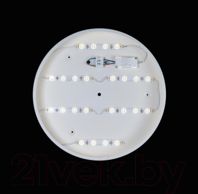 Потолочный светильник Loftit Axel 10002/24 (белый)