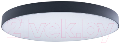 Потолочный светильник Loftit Axel 10002/48 Black - фото