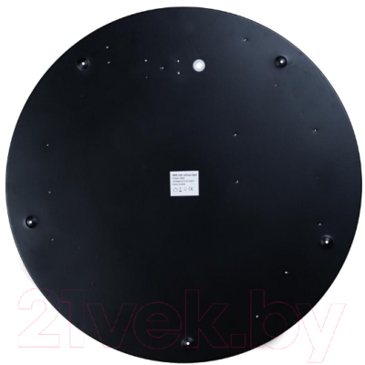 Потолочный светильник Loftit Axel 10002/48 Black