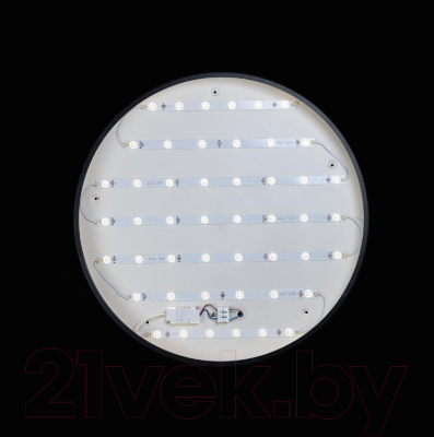 Потолочный светильник Loftit Axel 10002/48 Black