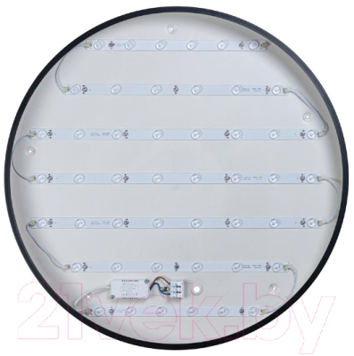 Потолочный светильник Loftit Axel 10002/48 Black