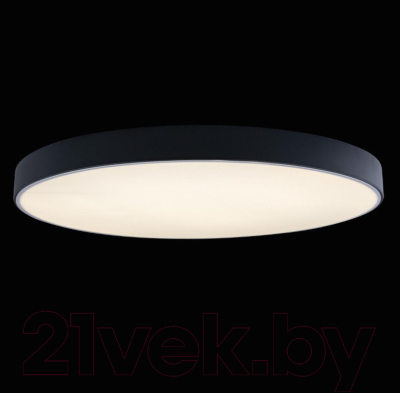 Потолочный светильник Loftit Axel 10002/48 Black