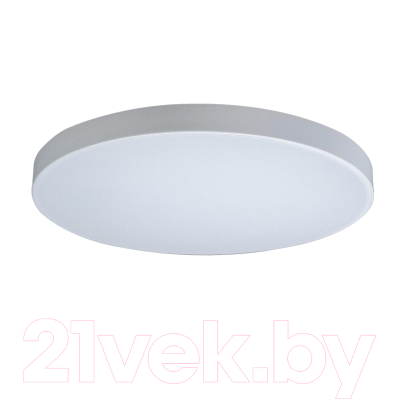 Потолочный светильник Loftit Axel 10002/48 White