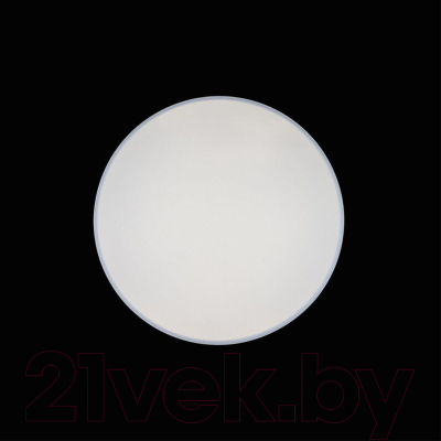 Потолочный светильник Loftit Axel 10002/48 White