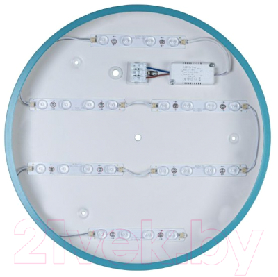 Потолочный светильник Loftit Axel 10003/24