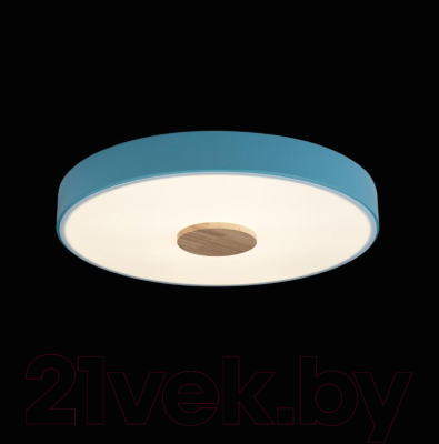 Потолочный светильник Loftit Axel 10003/24