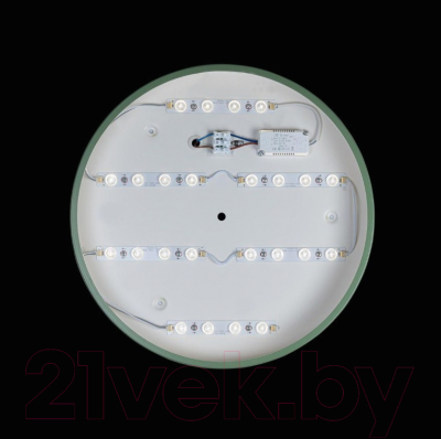 Потолочный светильник Loftit Axel 10003/24