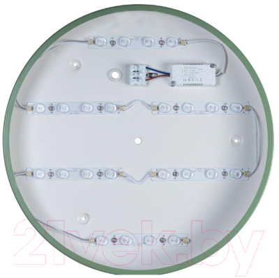 Потолочный светильник Loftit Axel 10003/24