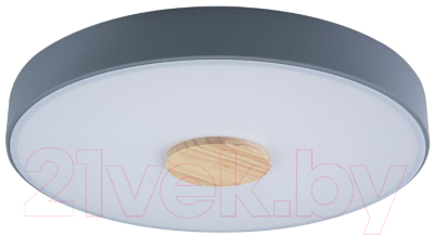 Потолочный светильник Loftit Axel 10003/24 - фото