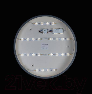 Потолочный светильник Loftit Axel 10003/24