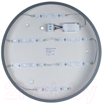 Потолочный светильник Loftit Axel 10003/24