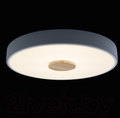 Потолочный светильник Loftit Axel 10003/24