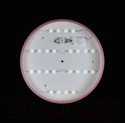 Потолочный светильник Loftit Axel 10003/24