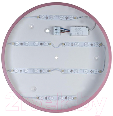 Потолочный светильник Loftit Axel 10003/24