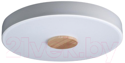 Потолочный светильник Loftit Axel 10003/24 - фото